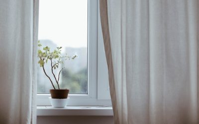 Asylos’ response to COVID-19