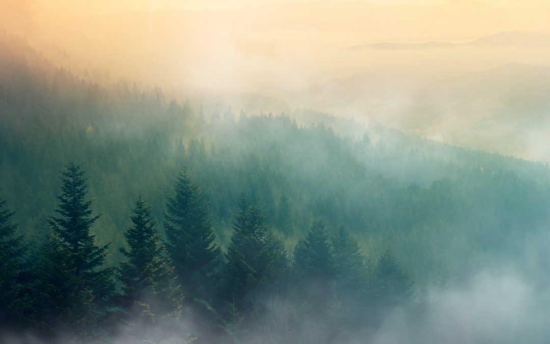 Remembering Srebrenica