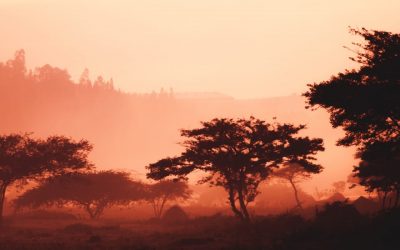 Rwandan ‘peace camps’, persecution and the struggle to be believed