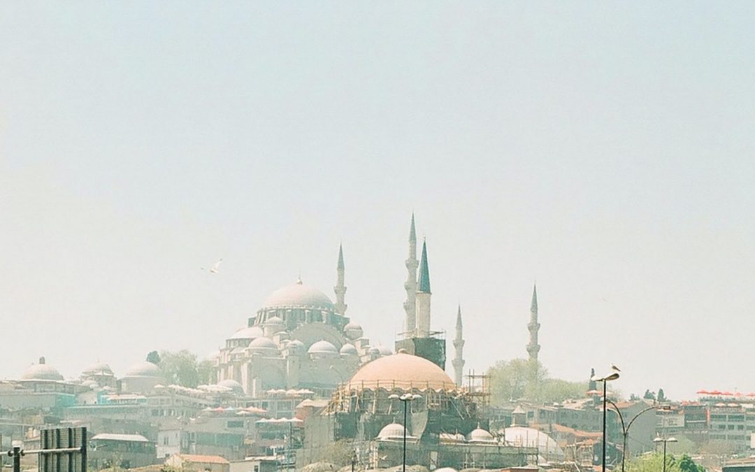 Türkiye COI Repository