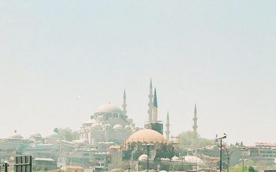 Türkiye COI Repository